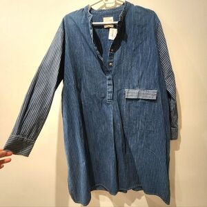 Wilfred Free Denim Striped Dress